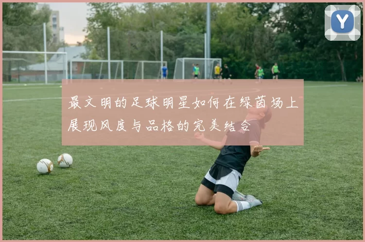 最文明的足球明星如何在绿茵场上展现风度与品格的完美结合