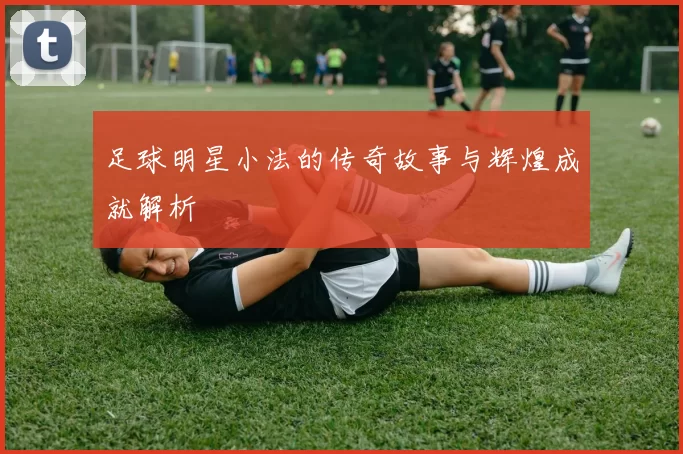 足球明星小法的传奇故事与辉煌成就解析