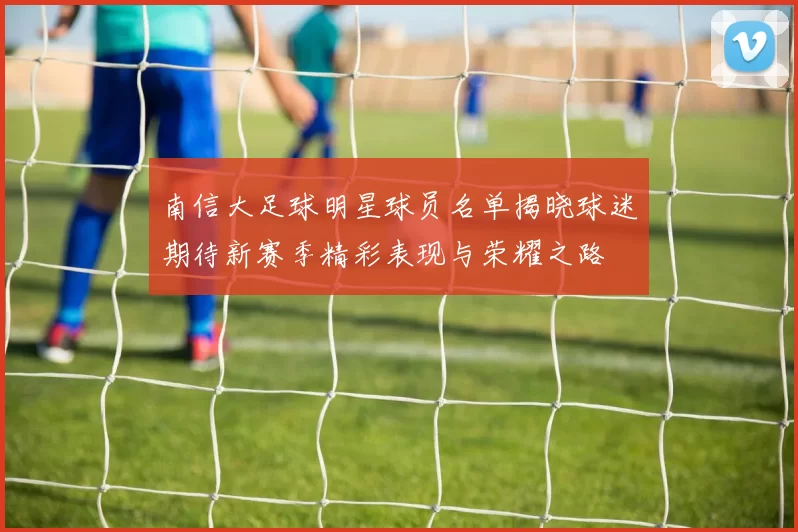 南信大足球明星球员名单揭晓球迷期待新赛季精彩表现与荣耀之路