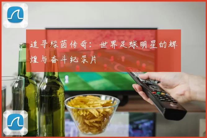 追寻绿茵传奇：世界足球明星的辉煌与奋斗纪录片