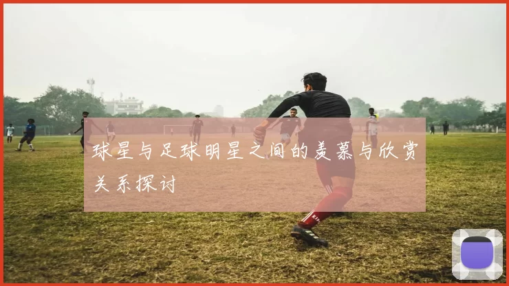 球星与足球明星之间的羡慕与欣赏关系探讨