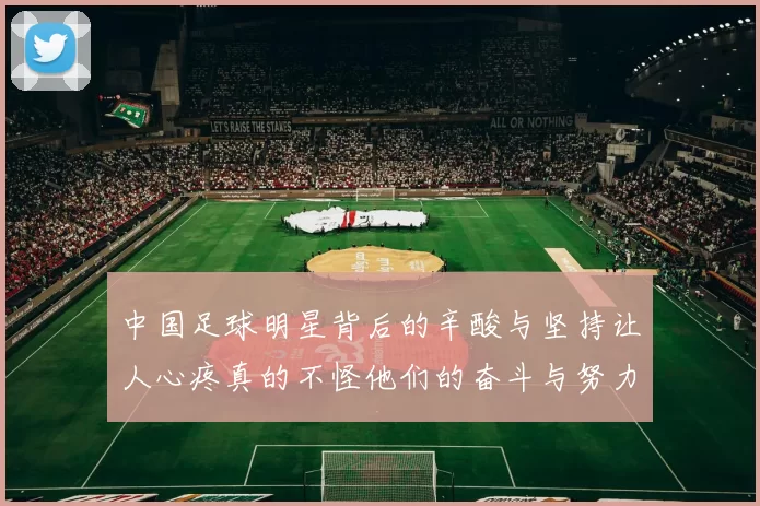 中国足球明星背后的辛酸与坚持让人心疼真的不怪他们的奋斗与努力